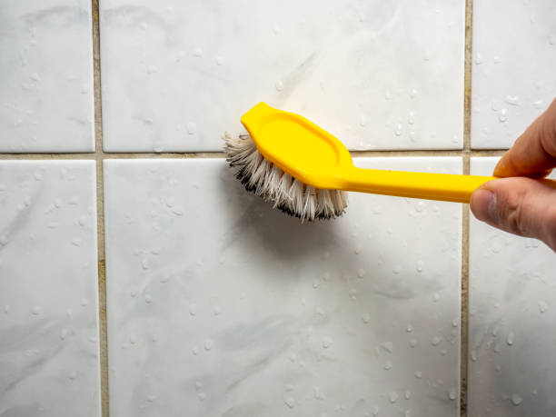 Best Attic Mold Removal  in Hampton, AR