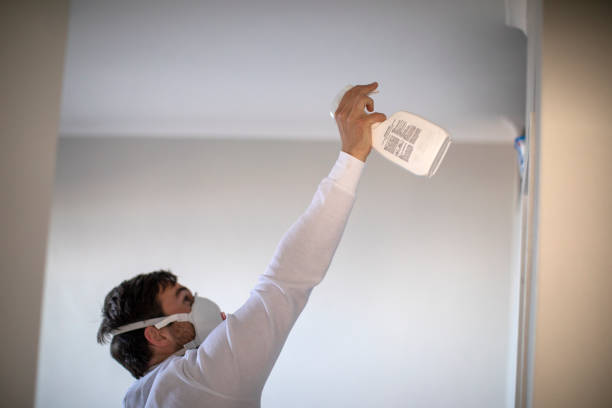Best Commercial Mold Removal  in Hampton, AR